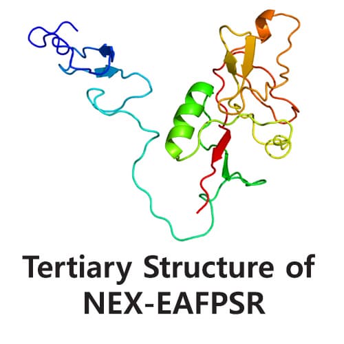 EAFPSR_Human EGF_Sea Raven Anti Freeze Protein Hybrid_